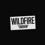 Wildfire - Stars in the Sky