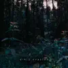 Focus on the Breath - The Garden (Giriu Dvasios Remix)