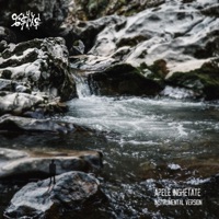 Apele Îngheţate (Instrumental) - Single - E-An-Na