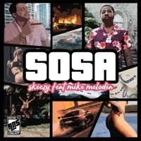 Sosa (feat. Mike Melodia) - Single - Skeezy