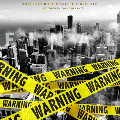 Final Warning (feat. Salese & Bx Scrip) - Single
