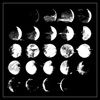 Converge - Vicious Muse