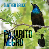 Pajarito Negro song art