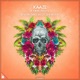 Intuition Dance Valley 2019 Anthem feat Anna Yvette Single