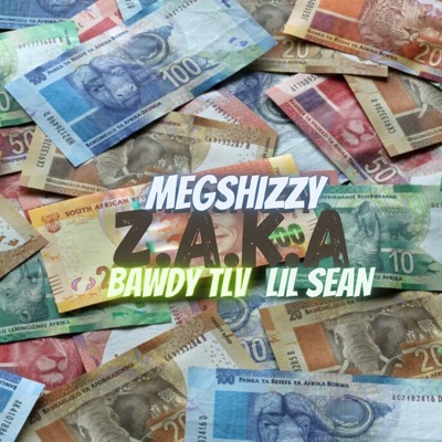 Zaka (feat. Bawdy tlv & Lil Sean) - Single