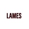 Lames - Lil Vasectomy lyrics