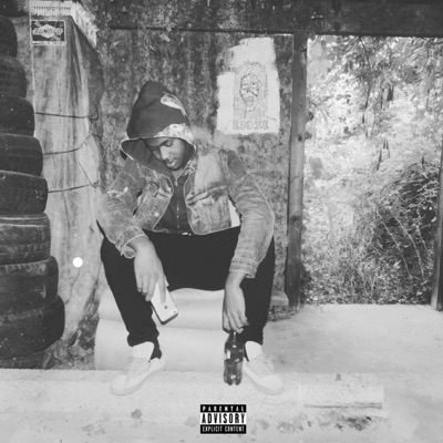 Public Housing - EP