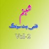 Pashto Filmi Song, Vol. 2 - Single