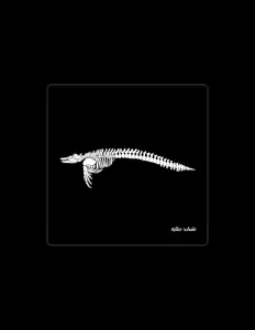 Listen to Killer Whale, watch music videos, read bio, see tour dates & more!