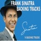 Fly My To the Moon - Peter Cernicka lyrics