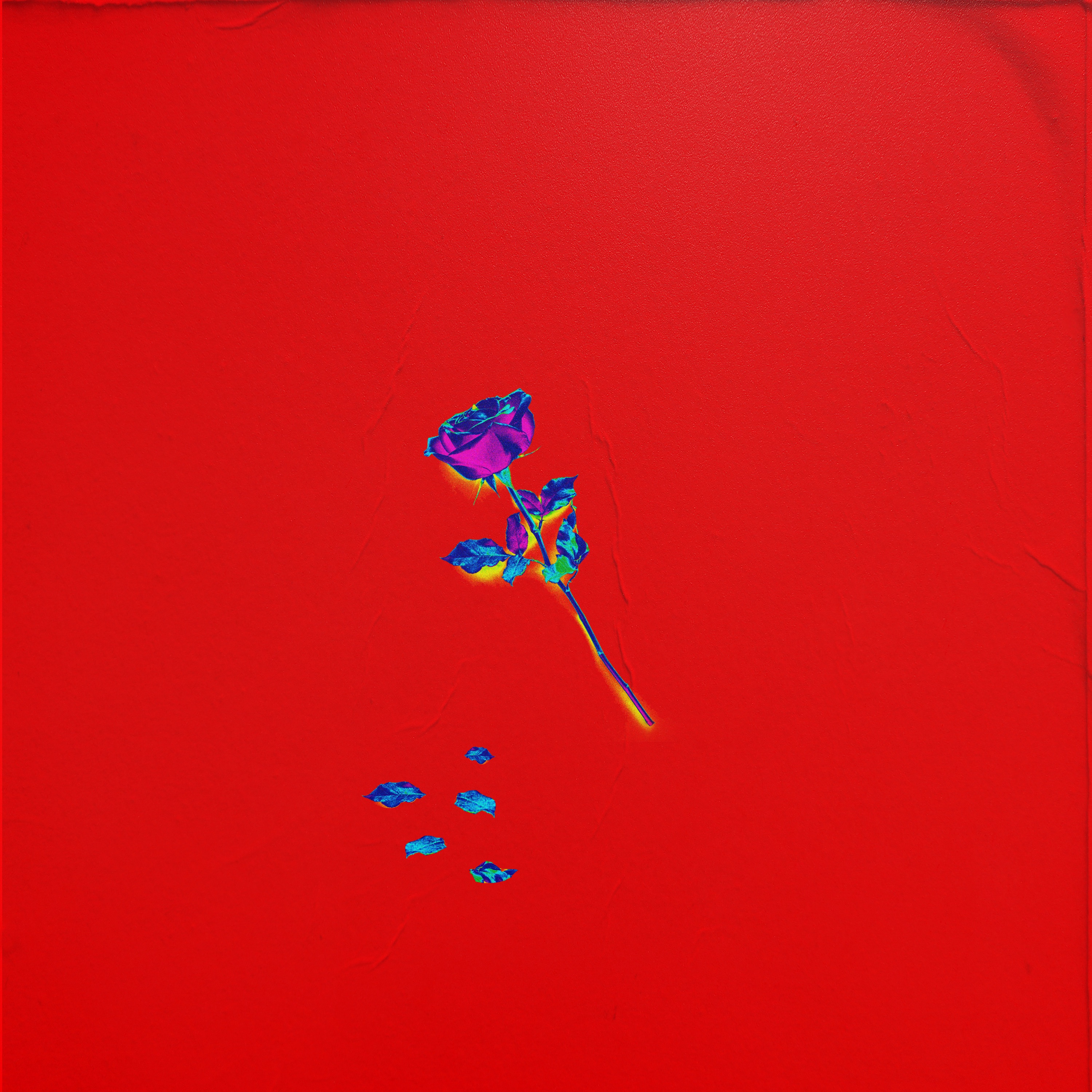 The Get Down - Single