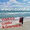 Vreare Curata (feat. Gramoste) - Single