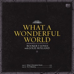 What a Wonderful World - Single