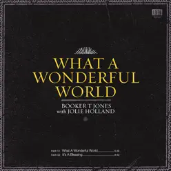 What a Wonderful World - Single - Booker T. Jones What a Wonderful World - Single - Booker T. Jones