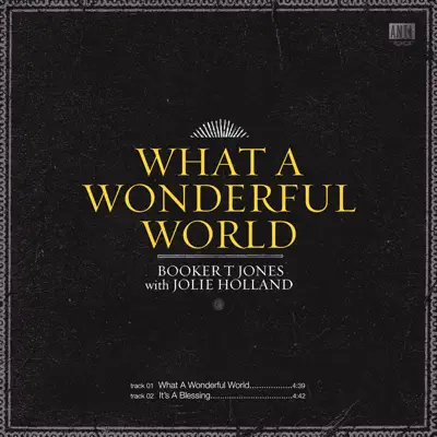 What a Wonderful World - Single - Booker T. Jones