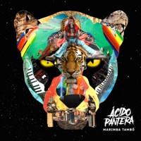 Marimba Tambó - Single - Ácido Pantera