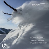 Haydn 2032, Vol. 13: Horn Signal artwork