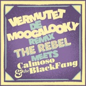 Vermutet de Moogalooky (Mash Up Remix) artwork