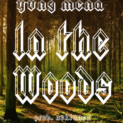 In the Woods - Single