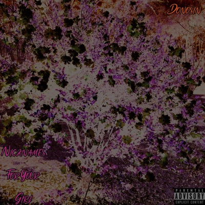 Nicknames for Your Girl - Single