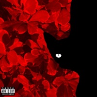 Cool Cat - Single - Yori