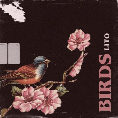 Birds - Single
