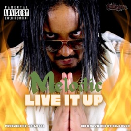 Live It Up Mr.Melodic