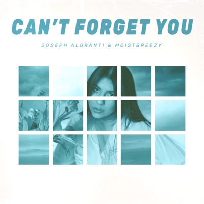 Can't Forget You - Single