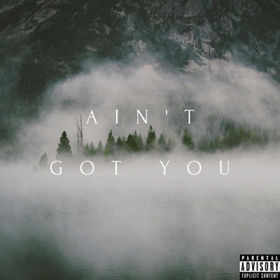 Ain't Got You (feat. Lil Bush & Lil YungDad) - Single