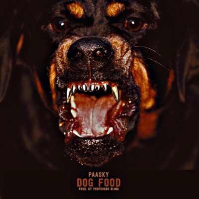 Dog Food - Single