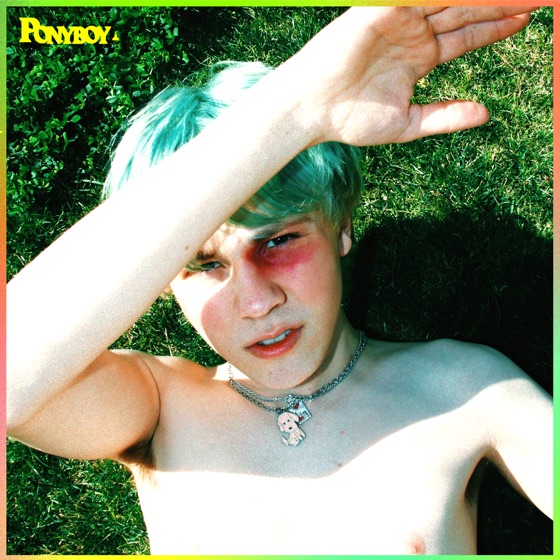 Cover artwork for Bleed