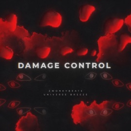 Damage Control (feat. Universe Breeze) zwonkybeats