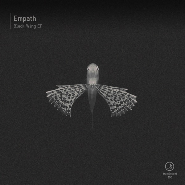 Black Wing - Single