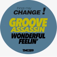Groove Assassin - Wonderful Feelin'