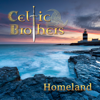 Home to Donegal - Celtic Brothers