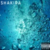 Shakira - Single