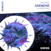 Anemone (DreamLife Remix) artwork