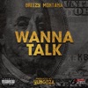 Wanna Talk - Single