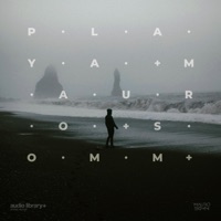 Playa - Single - Mauro Somm