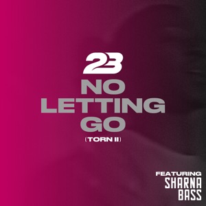 No Letting Go (Torn 2) [feat. Sharna Bass] - Single