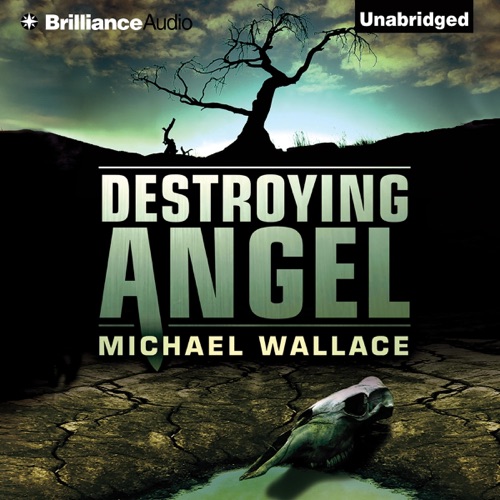 Destroying Angel: Righteous Series, Book 5 (Unabridged) cover