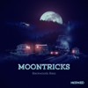 Backwoods Bass - EP - Moontricks