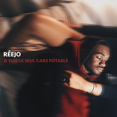 je suis le seul gars potable, c'est le pire - Single