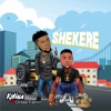 Shekere (feat. Oritse Femi) - Single