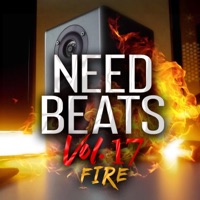 Need Beats, Vol. 17 - Rich Boi