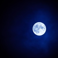 CONTROL the NIGHT (feat. KOMOREBi iN LOST LAND) - Single - Brezie Beats