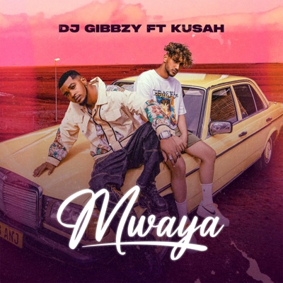 Mwaya (feat. Kusah) - Single