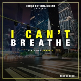 I Can't Breathe (feat. Chang.E) L.R
