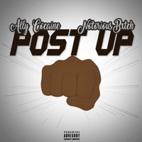 Post Up (feat. Notorious Bxtch) - Single - Ally Cocaine