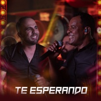 Te Esperando (Ao Vivo) - Single - Pedro Lucas e Filipe